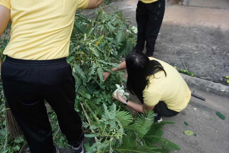 ภาพถ่าย ใช้ปุ่มลูกศร ซ้าย หรือ ขวา เลื่อนภาพถ่าย หรือปุ่มสามเหลี่ยมฉายภาพอัตโนมัติ  ถ้าต้องการบันทึกภาพ ใช้เมาส์คลิกขวาเลือกหัวข้อ  เป็นรูปภาพเป็น.. หรือ save as.. แสดงเต็มจอภาพ กุดปุ่ม F11 