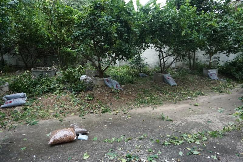 ภาพถ่าย ใช้ปุ่มลูกศร ซ้าย หรือ ขวา เลื่อนภาพถ่าย หรือปุ่มสามเหลี่ยมฉายภาพอัตโนมัติ  ถ้าต้องการบันทึกภาพ ใช้เมาส์คลิกขวาเลือกหัวข้อ  เป็นรูปภาพเป็น.. หรือ save as.. แสดงเต็มจอภาพ กุดปุ่ม F11 