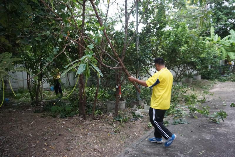 ภาพถ่าย ใช้ปุ่มลูกศร ซ้าย หรือ ขวา เลื่อนภาพถ่าย หรือปุ่มสามเหลี่ยมฉายภาพอัตโนมัติ  ถ้าต้องการบันทึกภาพ ใช้เมาส์คลิกขวาเลือกหัวข้อ  เป็นรูปภาพเป็น.. หรือ save as.. แสดงเต็มจอภาพ กุดปุ่ม F11 