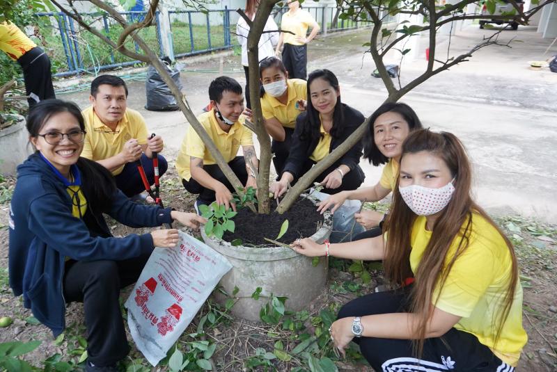 ภาพถ่าย ใช้ปุ่มลูกศร ซ้าย หรือ ขวา เลื่อนภาพถ่าย หรือปุ่มสามเหลี่ยมฉายภาพอัตโนมัติ  ถ้าต้องการบันทึกภาพ ใช้เมาส์คลิกขวาเลือกหัวข้อ  เป็นรูปภาพเป็น.. หรือ save as.. แสดงเต็มจอภาพ กุดปุ่ม F11 