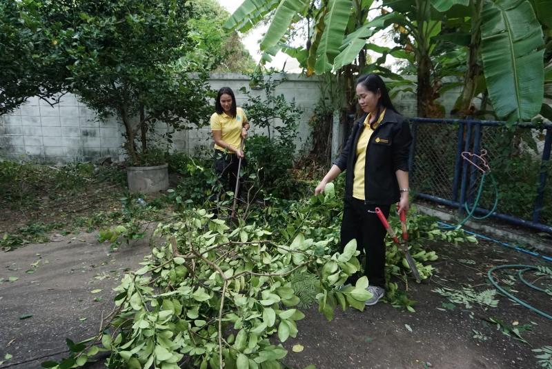 ภาพถ่าย ใช้ปุ่มลูกศร ซ้าย หรือ ขวา เลื่อนภาพถ่าย หรือปุ่มสามเหลี่ยมฉายภาพอัตโนมัติ  ถ้าต้องการบันทึกภาพ ใช้เมาส์คลิกขวาเลือกหัวข้อ  เป็นรูปภาพเป็น.. หรือ save as.. แสดงเต็มจอภาพ กุดปุ่ม F11 