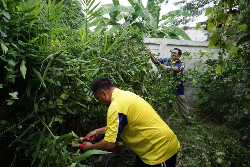 ภาพถ่าย ใช้ปุ่มลูกศร ซ้าย หรือ ขวา เลื่อนภาพถ่าย หรือปุ่มสามเหลี่ยมฉายภาพอัตโนมัติ  ถ้าต้องการบันทึกภาพ ใช้เมาส์คลิกขวาเลือกหัวข้อ  เป็นรูปภาพเป็น.. หรือ save as.. แสดงเต็มจอภาพ กุดปุ่ม F11 