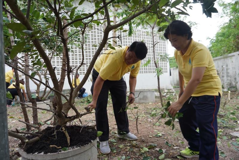 ภาพถ่าย ใช้ปุ่มลูกศร ซ้าย หรือ ขวา เลื่อนภาพถ่าย หรือปุ่มสามเหลี่ยมฉายภาพอัตโนมัติ  ถ้าต้องการบันทึกภาพ ใช้เมาส์คลิกขวาเลือกหัวข้อ  เป็นรูปภาพเป็น.. หรือ save as.. แสดงเต็มจอภาพ กุดปุ่ม F11 