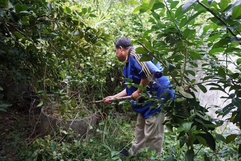 ภาพถ่าย ใช้ปุ่มลูกศร ซ้าย หรือ ขวา เลื่อนภาพถ่าย หรือปุ่มสามเหลี่ยมฉายภาพอัตโนมัติ  ถ้าต้องการบันทึกภาพ ใช้เมาส์คลิกขวาเลือกหัวข้อ  เป็นรูปภาพเป็น.. หรือ save as.. แสดงเต็มจอภาพ กุดปุ่ม F11 