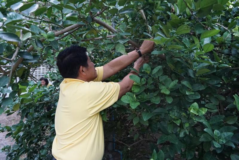 ภาพถ่าย ใช้ปุ่มลูกศร ซ้าย หรือ ขวา เลื่อนภาพถ่าย หรือปุ่มสามเหลี่ยมฉายภาพอัตโนมัติ  ถ้าต้องการบันทึกภาพ ใช้เมาส์คลิกขวาเลือกหัวข้อ  เป็นรูปภาพเป็น.. หรือ save as.. แสดงเต็มจอภาพ กุดปุ่ม F11 