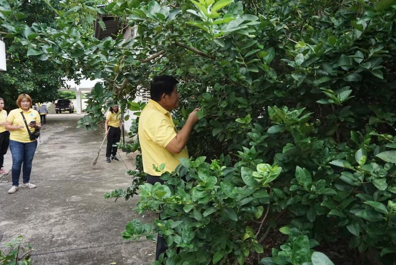 ภาพถ่าย ใช้ปุ่มลูกศร ซ้าย หรือ ขวา เลื่อนภาพถ่าย หรือปุ่มสามเหลี่ยมฉายภาพอัตโนมัติ  ถ้าต้องการบันทึกภาพ ใช้เมาส์คลิกขวาเลือกหัวข้อ  เป็นรูปภาพเป็น.. หรือ save as.. แสดงเต็มจอภาพ กุดปุ่ม F11 