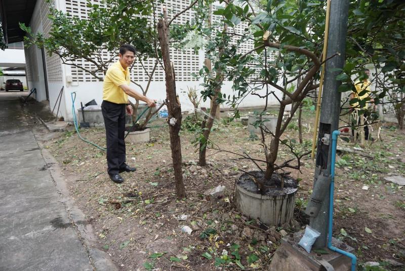 ภาพถ่าย ใช้ปุ่มลูกศร ซ้าย หรือ ขวา เลื่อนภาพถ่าย หรือปุ่มสามเหลี่ยมฉายภาพอัตโนมัติ  ถ้าต้องการบันทึกภาพ ใช้เมาส์คลิกขวาเลือกหัวข้อ  เป็นรูปภาพเป็น.. หรือ save as.. แสดงเต็มจอภาพ กุดปุ่ม F11 