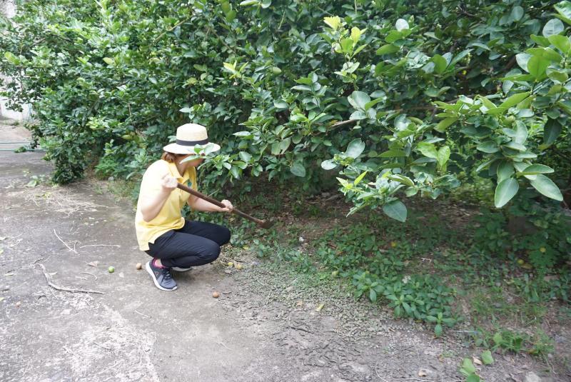 ภาพถ่าย ใช้ปุ่มลูกศร ซ้าย หรือ ขวา เลื่อนภาพถ่าย หรือปุ่มสามเหลี่ยมฉายภาพอัตโนมัติ  ถ้าต้องการบันทึกภาพ ใช้เมาส์คลิกขวาเลือกหัวข้อ  เป็นรูปภาพเป็น.. หรือ save as.. แสดงเต็มจอภาพ กุดปุ่ม F11 