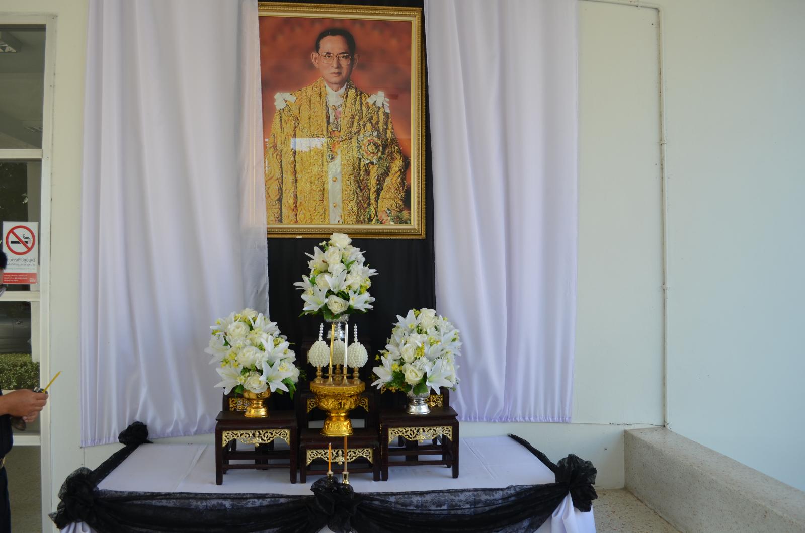 ภาพถ่าย ใช้ปุ่มลูกศร ซ้าย หรือ ขวา เลื่อนภาพถ่าย หรือปุ่มสามเหลี่ยมฉายภาพอัตโนมัติ  ถ้าต้องการบันทึกภาพ ใช้เมาส์คลิกขวาเลือกหัวข้อ  เป็นรูปภาพเป็น.. หรือ save as.. แสดงเต็มจอภาพ กุดปุ่ม F11 