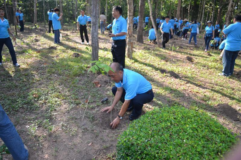 ภาพถ่าย ใช้ปุ่มลูกศร ซ้าย หรือ ขวา เลื่อนภาพถ่าย หรือปุ่มสามเหลี่ยมฉายภาพอัตโนมัติ  ถ้าต้องการบันทึกภาพ ใช้เมาส์คลิกขวาเลือกหัวข้อ  เป็นรูปภาพเป็น.. หรือ save as.. แสดงเต็มจอภาพ กุดปุ่ม F11 