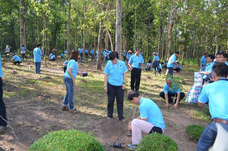 ภาพถ่าย ใช้ปุ่มลูกศร ซ้าย หรือ ขวา เลื่อนภาพถ่าย หรือปุ่มสามเหลี่ยมฉายภาพอัตโนมัติ  ถ้าต้องการบันทึกภาพ ใช้เมาส์คลิกขวาเลือกหัวข้อ  เป็นรูปภาพเป็น.. หรือ save as.. แสดงเต็มจอภาพ กุดปุ่ม F11 