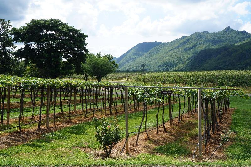 ภาพถ่าย ใช้ปุ่มลูกศร ซ้าย หรือ ขวา เลื่อนภาพถ่าย หรือปุ่มสามเหลี่ยมฉายภาพอัตโนมัติ  ถ้าต้องการบันทึกภาพ ใช้เมาส์คลิกขวาเลือกหัวข้อ  เป็นรูปภาพเป็น.. หรือ save as.. แสดงเต็มจอภาพ กุดปุ่ม F11 