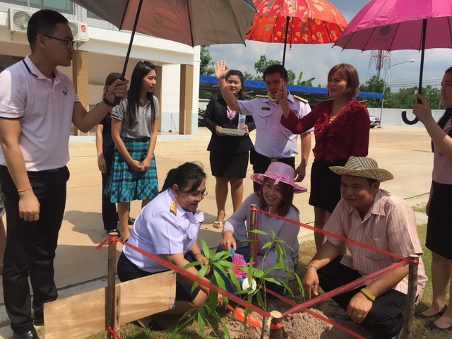 ภาพถ่าย ใช้ปุ่มลูกศร ซ้าย หรือ ขวา เลื่อนภาพถ่าย หรือปุ่มสามเหลี่ยมฉายภาพอัตโนมัติ  ถ้าต้องการบันทึกภาพ ใช้เมาส์คลิกขวาเลือกหัวข้อ  เป็นรูปภาพเป็น.. หรือ save as.. แสดงเต็มจอภาพ กุดปุ่ม F11 