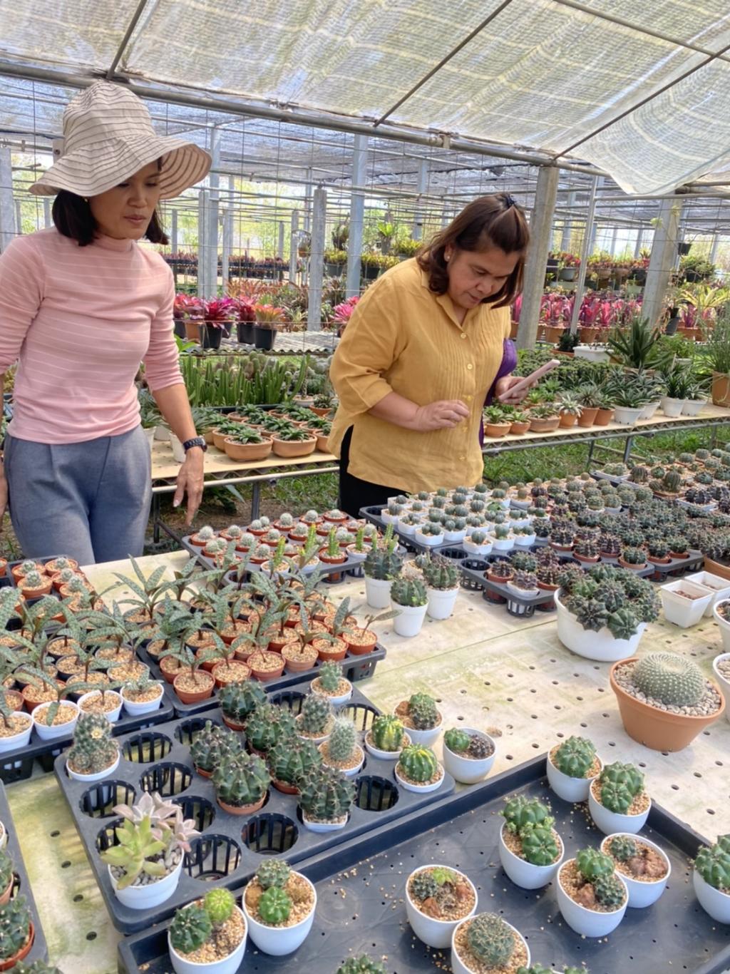 ภาพถ่าย ใช้ปุ่มลูกศร ซ้าย หรือ ขวา เลื่อนภาพถ่าย หรือปุ่มสามเหลี่ยมฉายภาพอัตโนมัติ  ถ้าต้องการบันทึกภาพ ใช้เมาส์คลิกขวาเลือกหัวข้อ  เป็นรูปภาพเป็น.. หรือ save as.. แสดงเต็มจอภาพ กุดปุ่ม F11 