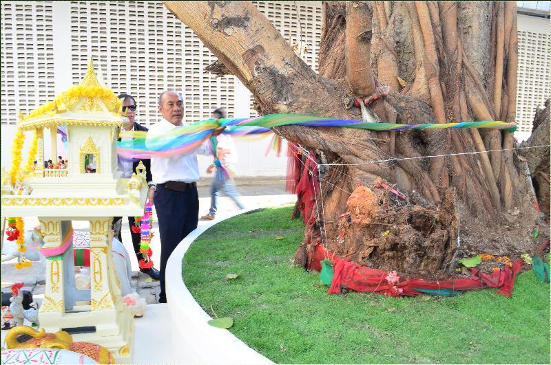 ภาพถ่าย ใช้ปุ่มลูกศร ซ้าย หรือ ขวา เลื่อนภาพถ่าย หรือปุ่มสามเหลี่ยมฉายภาพอัตโนมัติ  ถ้าต้องการบันทึกภาพ ใช้เมาส์คลิกขวาเลือกหัวข้อ  เป็นรูปภาพเป็น.. หรือ save as.. แสดงเต็มจอภาพ กุดปุ่ม F11 