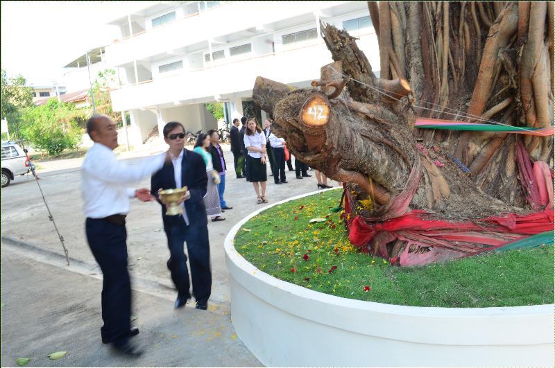 ภาพถ่าย ใช้ปุ่มลูกศร ซ้าย หรือ ขวา เลื่อนภาพถ่าย หรือปุ่มสามเหลี่ยมฉายภาพอัตโนมัติ  ถ้าต้องการบันทึกภาพ ใช้เมาส์คลิกขวาเลือกหัวข้อ  เป็นรูปภาพเป็น.. หรือ save as.. แสดงเต็มจอภาพ กุดปุ่ม F11 