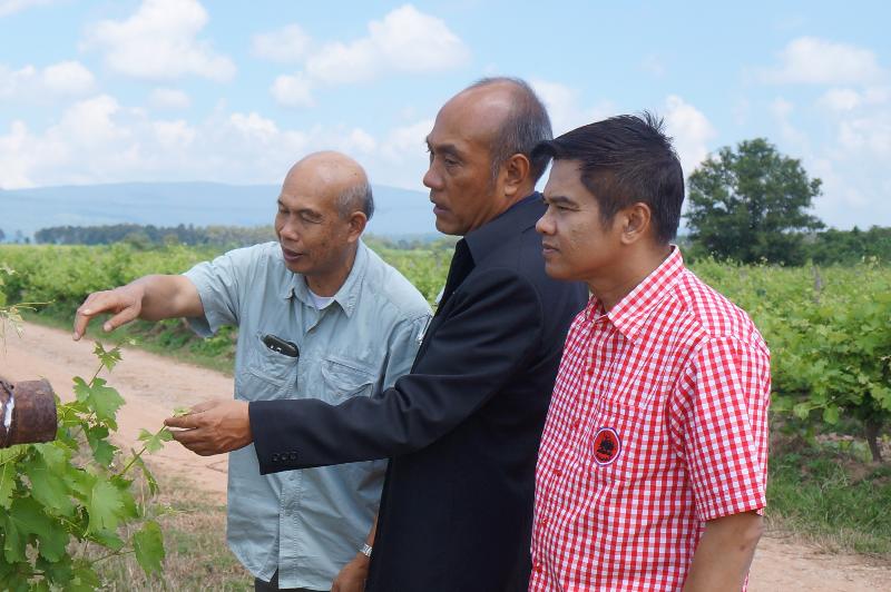 ภาพถ่าย ใช้ปุ่มลูกศร ซ้าย หรือ ขวา เลื่อนภาพถ่าย หรือปุ่มสามเหลี่ยมฉายภาพอัตโนมัติ  ถ้าต้องการบันทึกภาพ ใช้เมาส์คลิกขวาเลือกหัวข้อ  เป็นรูปภาพเป็น.. หรือ save as.. แสดงเต็มจอภาพ กุดปุ่ม F11 