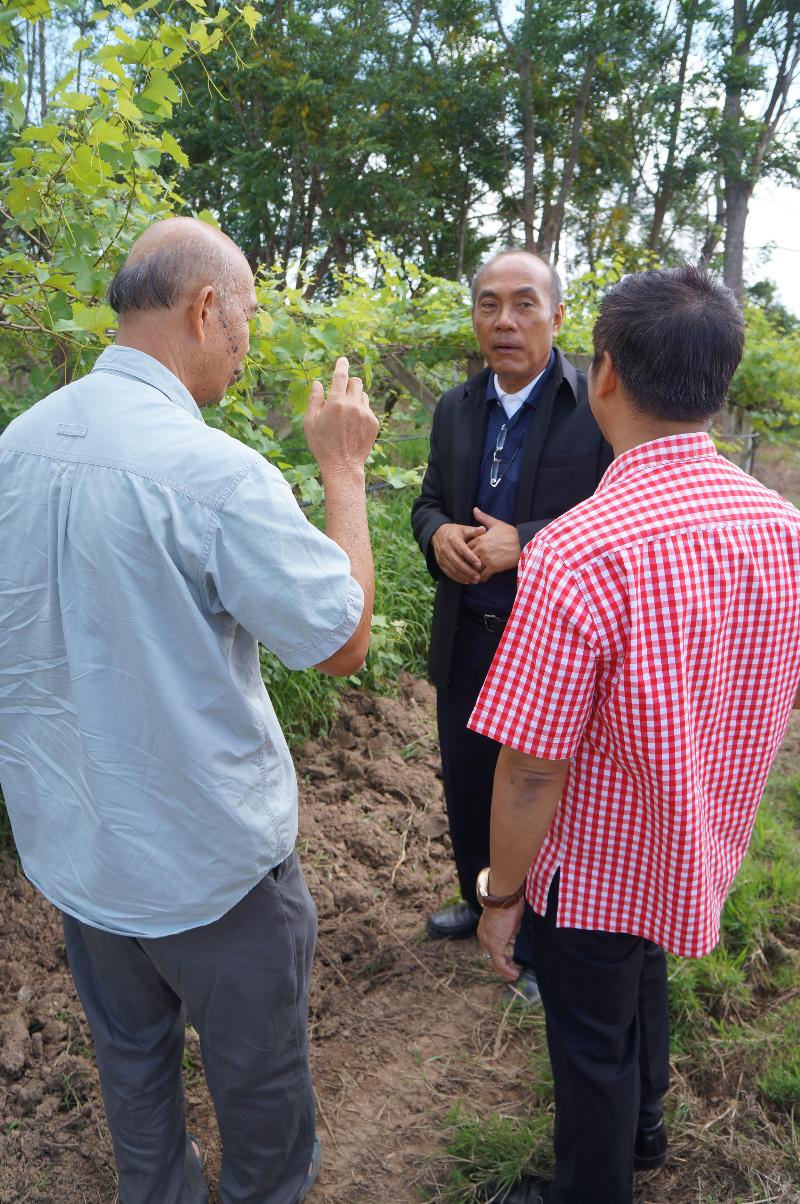 ภาพถ่าย ใช้ปุ่มลูกศร ซ้าย หรือ ขวา เลื่อนภาพถ่าย หรือปุ่มสามเหลี่ยมฉายภาพอัตโนมัติ  ถ้าต้องการบันทึกภาพ ใช้เมาส์คลิกขวาเลือกหัวข้อ  เป็นรูปภาพเป็น.. หรือ save as.. แสดงเต็มจอภาพ กุดปุ่ม F11 