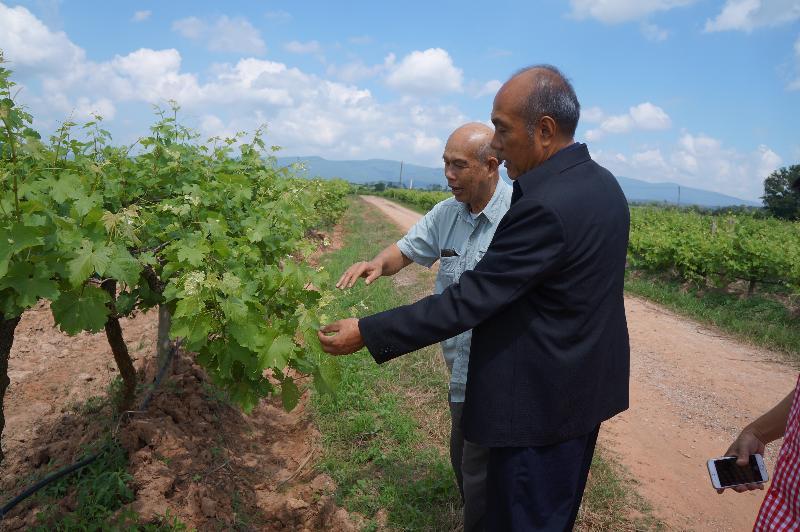 ภาพถ่าย ใช้ปุ่มลูกศร ซ้าย หรือ ขวา เลื่อนภาพถ่าย หรือปุ่มสามเหลี่ยมฉายภาพอัตโนมัติ  ถ้าต้องการบันทึกภาพ ใช้เมาส์คลิกขวาเลือกหัวข้อ  เป็นรูปภาพเป็น.. หรือ save as.. แสดงเต็มจอภาพ กุดปุ่ม F11 