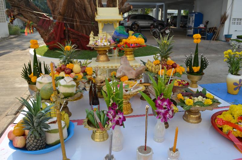 ภาพถ่าย ใช้ปุ่มลูกศร ซ้าย หรือ ขวา เลื่อนภาพถ่าย หรือปุ่มสามเหลี่ยมฉายภาพอัตโนมัติ  ถ้าต้องการบันทึกภาพ ใช้เมาส์คลิกขวาเลือกหัวข้อ  เป็นรูปภาพเป็น.. หรือ save as.. แสดงเต็มจอภาพ กุดปุ่ม F11 