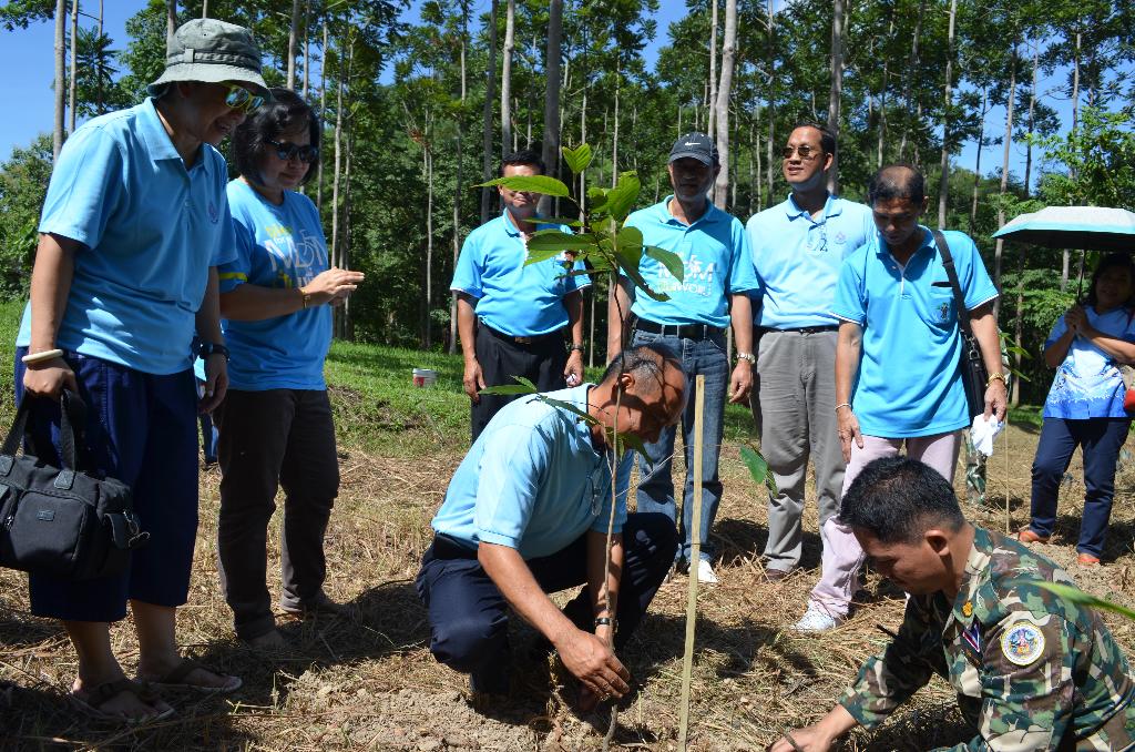 ภาพถ่าย ใช้ปุ่มลูกศร ซ้าย หรือ ขวา เลื่อนภาพถ่าย หรือปุ่มสามเหลี่ยมฉายภาพอัตโนมัติ  ถ้าต้องการบันทึกภาพ ใช้เมาส์คลิกขวาเลือกหัวข้อ  เป็นรูปภาพเป็น.. หรือ save as.. แสดงเต็มจอภาพ กุดปุ่ม F11 