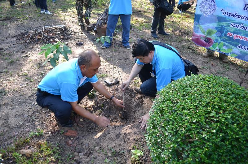 ภาพถ่าย ใช้ปุ่มลูกศร ซ้าย หรือ ขวา เลื่อนภาพถ่าย หรือปุ่มสามเหลี่ยมฉายภาพอัตโนมัติ  ถ้าต้องการบันทึกภาพ ใช้เมาส์คลิกขวาเลือกหัวข้อ  เป็นรูปภาพเป็น.. หรือ save as.. แสดงเต็มจอภาพ กุดปุ่ม F11 