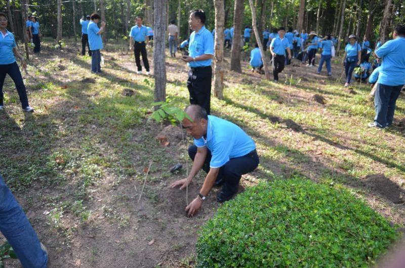 ภาพถ่าย ใช้ปุ่มลูกศร ซ้าย หรือ ขวา เลื่อนภาพถ่าย หรือปุ่มสามเหลี่ยมฉายภาพอัตโนมัติ  ถ้าต้องการบันทึกภาพ ใช้เมาส์คลิกขวาเลือกหัวข้อ  เป็นรูปภาพเป็น.. หรือ save as.. แสดงเต็มจอภาพ กุดปุ่ม F11 