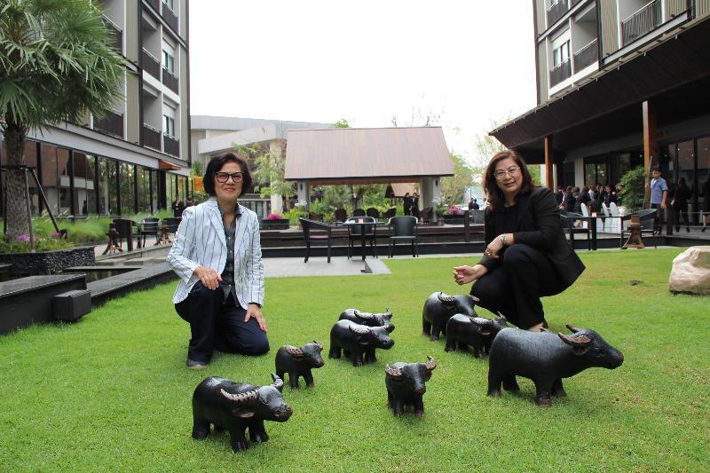 ภาพถ่าย ใช้ปุ่มลูกศร ซ้าย หรือ ขวา เลื่อนภาพถ่าย หรือปุ่มสามเหลี่ยมฉายภาพอัตโนมัติ  ถ้าต้องการบันทึกภาพ ใช้เมาส์คลิกขวาเลือกหัวข้อ  เป็นรูปภาพเป็น.. หรือ save as.. แสดงเต็มจอภาพ กุดปุ่ม F11 