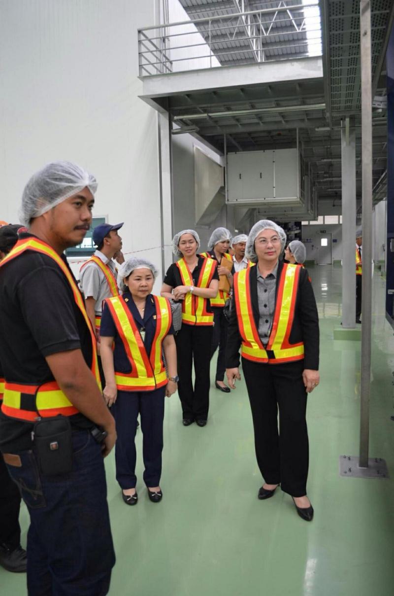 ภาพถ่าย ใช้ปุ่มลูกศร ซ้าย หรือ ขวา เลื่อนภาพถ่าย หรือปุ่มสามเหลี่ยมฉายภาพอัตโนมัติ  ถ้าต้องการบันทึกภาพ ใช้เมาส์คลิกขวาเลือกหัวข้อ  เป็นรูปภาพเป็น.. หรือ save as.. แสดงเต็มจอภาพ กุดปุ่ม F11 