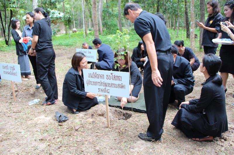 ภาพถ่าย ใช้ปุ่มลูกศร ซ้าย หรือ ขวา เลื่อนภาพถ่าย หรือปุ่มสามเหลี่ยมฉายภาพอัตโนมัติ  ถ้าต้องการบันทึกภาพ ใช้เมาส์คลิกขวาเลือกหัวข้อ  เป็นรูปภาพเป็น.. หรือ save as.. แสดงเต็มจอภาพ กุดปุ่ม F11 