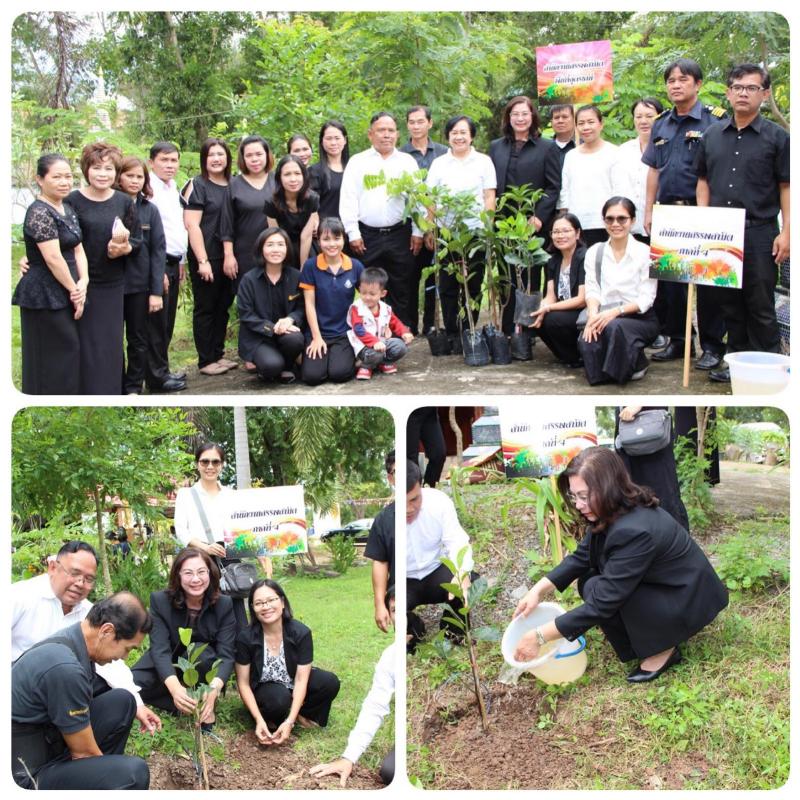 ภาพถ่าย ใช้ปุ่มลูกศร ซ้าย หรือ ขวา เลื่อนภาพถ่าย หรือปุ่มสามเหลี่ยมฉายภาพอัตโนมัติ  ถ้าต้องการบันทึกภาพ ใช้เมาส์คลิกขวาเลือกหัวข้อ  เป็นรูปภาพเป็น.. หรือ save as.. แสดงเต็มจอภาพ กุดปุ่ม F11 