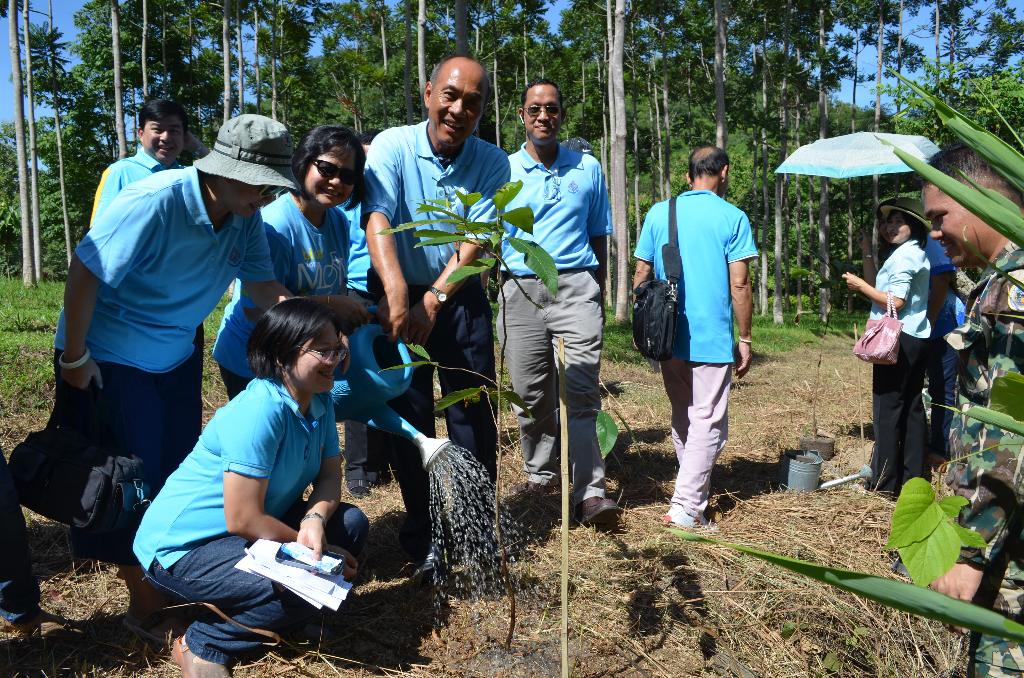 ภาพถ่าย ใช้ปุ่มลูกศร ซ้าย หรือ ขวา เลื่อนภาพถ่าย หรือปุ่มสามเหลี่ยมฉายภาพอัตโนมัติ  ถ้าต้องการบันทึกภาพ ใช้เมาส์คลิกขวาเลือกหัวข้อ  เป็นรูปภาพเป็น.. หรือ save as.. แสดงเต็มจอภาพ กุดปุ่ม F11 