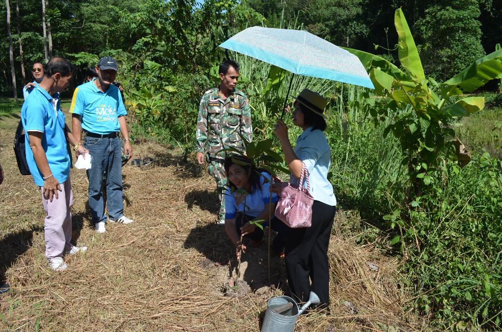 ภาพถ่าย ใช้ปุ่มลูกศร ซ้าย หรือ ขวา เลื่อนภาพถ่าย หรือปุ่มสามเหลี่ยมฉายภาพอัตโนมัติ  ถ้าต้องการบันทึกภาพ ใช้เมาส์คลิกขวาเลือกหัวข้อ  เป็นรูปภาพเป็น.. หรือ save as.. แสดงเต็มจอภาพ กุดปุ่ม F11 