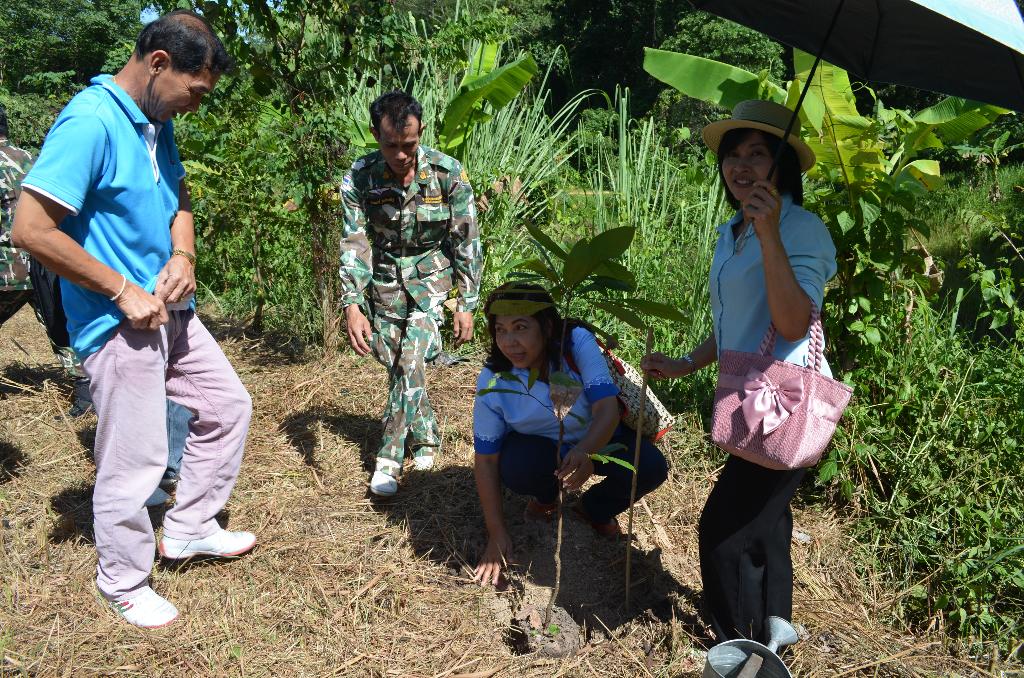 ภาพถ่าย ใช้ปุ่มลูกศร ซ้าย หรือ ขวา เลื่อนภาพถ่าย หรือปุ่มสามเหลี่ยมฉายภาพอัตโนมัติ  ถ้าต้องการบันทึกภาพ ใช้เมาส์คลิกขวาเลือกหัวข้อ  เป็นรูปภาพเป็น.. หรือ save as.. แสดงเต็มจอภาพ กุดปุ่ม F11 
