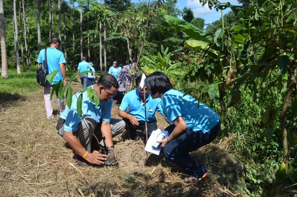 ภาพถ่าย ใช้ปุ่มลูกศร ซ้าย หรือ ขวา เลื่อนภาพถ่าย หรือปุ่มสามเหลี่ยมฉายภาพอัตโนมัติ  ถ้าต้องการบันทึกภาพ ใช้เมาส์คลิกขวาเลือกหัวข้อ  เป็นรูปภาพเป็น.. หรือ save as.. แสดงเต็มจอภาพ กุดปุ่ม F11 