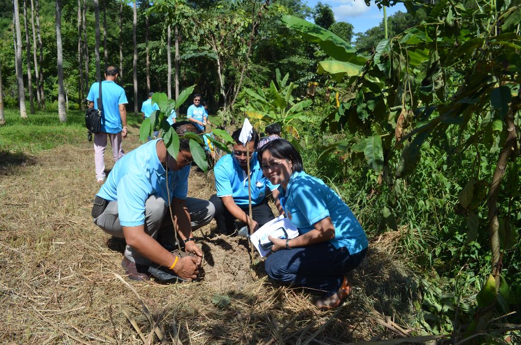 ภาพถ่าย ใช้ปุ่มลูกศร ซ้าย หรือ ขวา เลื่อนภาพถ่าย หรือปุ่มสามเหลี่ยมฉายภาพอัตโนมัติ  ถ้าต้องการบันทึกภาพ ใช้เมาส์คลิกขวาเลือกหัวข้อ  เป็นรูปภาพเป็น.. หรือ save as.. แสดงเต็มจอภาพ กุดปุ่ม F11 