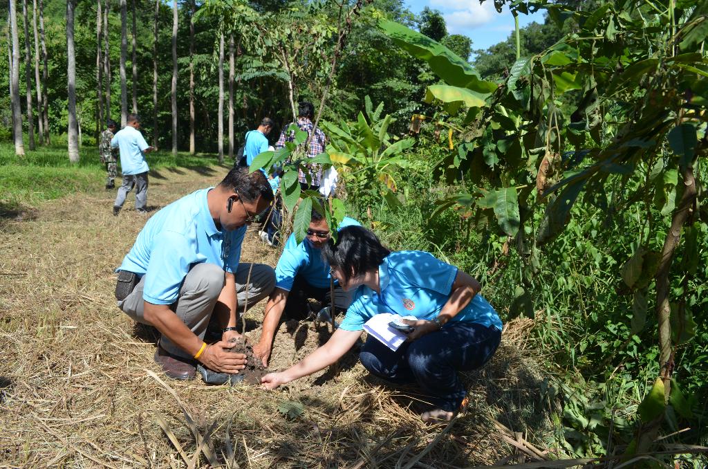 ภาพถ่าย ใช้ปุ่มลูกศร ซ้าย หรือ ขวา เลื่อนภาพถ่าย หรือปุ่มสามเหลี่ยมฉายภาพอัตโนมัติ  ถ้าต้องการบันทึกภาพ ใช้เมาส์คลิกขวาเลือกหัวข้อ  เป็นรูปภาพเป็น.. หรือ save as.. แสดงเต็มจอภาพ กุดปุ่ม F11 