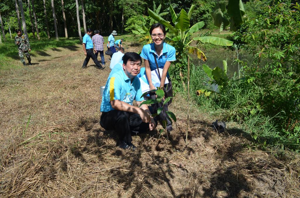 ภาพถ่าย ใช้ปุ่มลูกศร ซ้าย หรือ ขวา เลื่อนภาพถ่าย หรือปุ่มสามเหลี่ยมฉายภาพอัตโนมัติ  ถ้าต้องการบันทึกภาพ ใช้เมาส์คลิกขวาเลือกหัวข้อ  เป็นรูปภาพเป็น.. หรือ save as.. แสดงเต็มจอภาพ กุดปุ่ม F11 