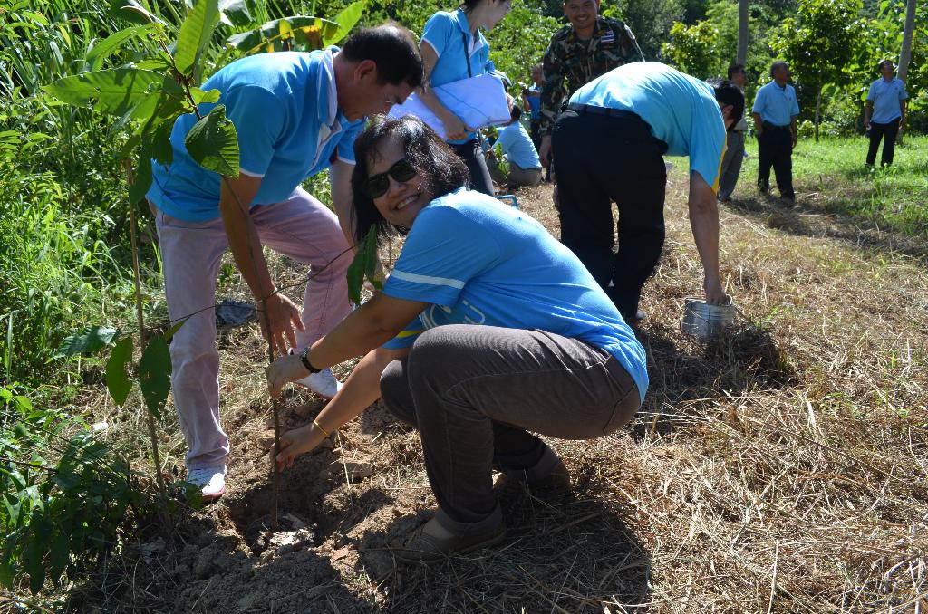 ภาพถ่าย ใช้ปุ่มลูกศร ซ้าย หรือ ขวา เลื่อนภาพถ่าย หรือปุ่มสามเหลี่ยมฉายภาพอัตโนมัติ  ถ้าต้องการบันทึกภาพ ใช้เมาส์คลิกขวาเลือกหัวข้อ  เป็นรูปภาพเป็น.. หรือ save as.. แสดงเต็มจอภาพ กุดปุ่ม F11 