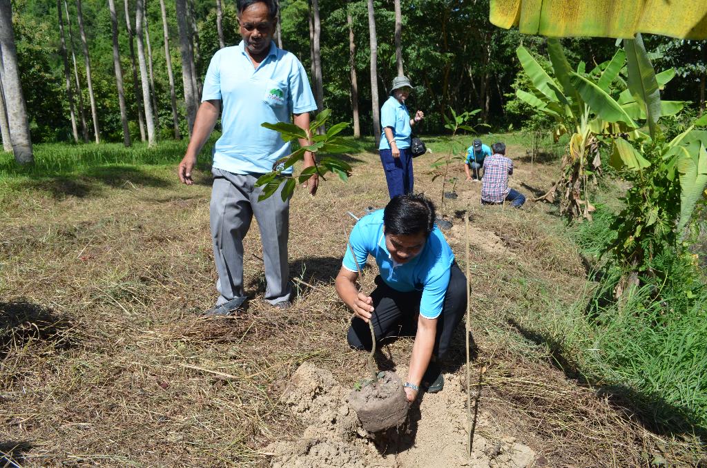 ภาพถ่าย ใช้ปุ่มลูกศร ซ้าย หรือ ขวา เลื่อนภาพถ่าย หรือปุ่มสามเหลี่ยมฉายภาพอัตโนมัติ  ถ้าต้องการบันทึกภาพ ใช้เมาส์คลิกขวาเลือกหัวข้อ  เป็นรูปภาพเป็น.. หรือ save as.. แสดงเต็มจอภาพ กุดปุ่ม F11 