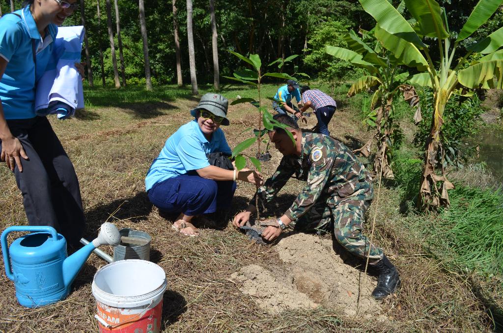 ภาพถ่าย ใช้ปุ่มลูกศร ซ้าย หรือ ขวา เลื่อนภาพถ่าย หรือปุ่มสามเหลี่ยมฉายภาพอัตโนมัติ  ถ้าต้องการบันทึกภาพ ใช้เมาส์คลิกขวาเลือกหัวข้อ  เป็นรูปภาพเป็น.. หรือ save as.. แสดงเต็มจอภาพ กุดปุ่ม F11 