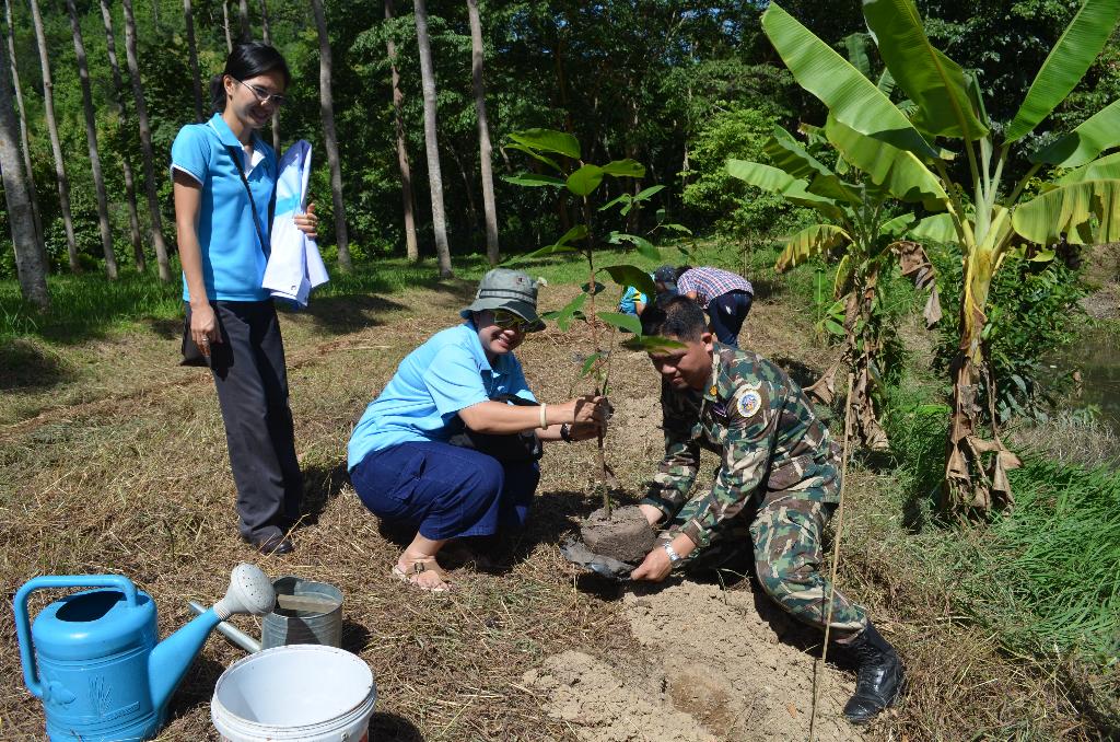 ภาพถ่าย ใช้ปุ่มลูกศร ซ้าย หรือ ขวา เลื่อนภาพถ่าย หรือปุ่มสามเหลี่ยมฉายภาพอัตโนมัติ  ถ้าต้องการบันทึกภาพ ใช้เมาส์คลิกขวาเลือกหัวข้อ  เป็นรูปภาพเป็น.. หรือ save as.. แสดงเต็มจอภาพ กุดปุ่ม F11 