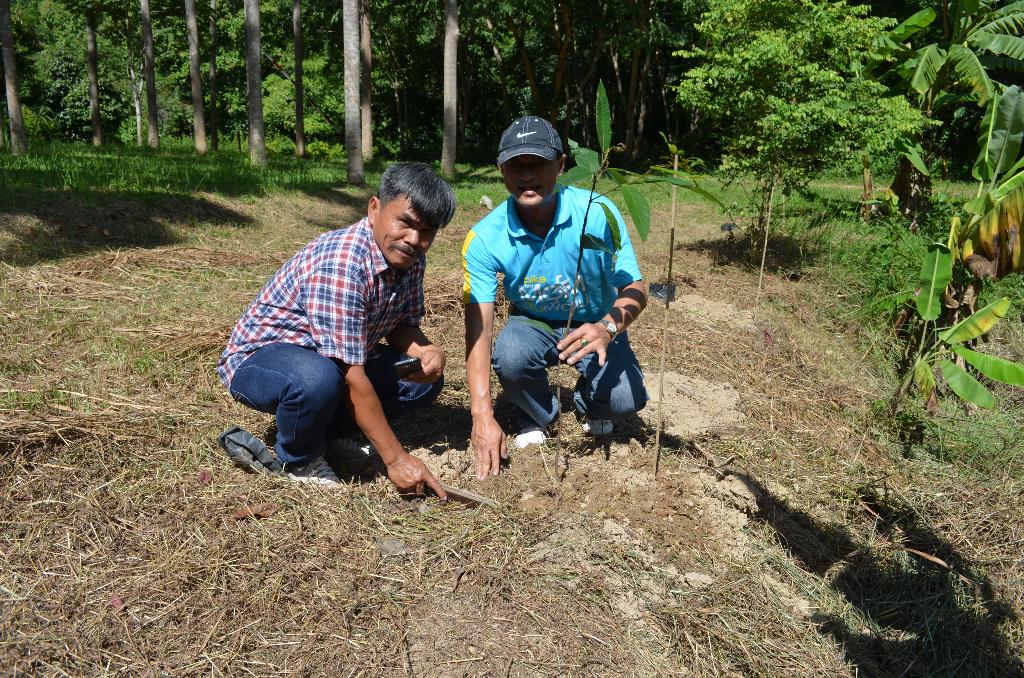 ภาพถ่าย ใช้ปุ่มลูกศร ซ้าย หรือ ขวา เลื่อนภาพถ่าย หรือปุ่มสามเหลี่ยมฉายภาพอัตโนมัติ  ถ้าต้องการบันทึกภาพ ใช้เมาส์คลิกขวาเลือกหัวข้อ  เป็นรูปภาพเป็น.. หรือ save as.. แสดงเต็มจอภาพ กุดปุ่ม F11 