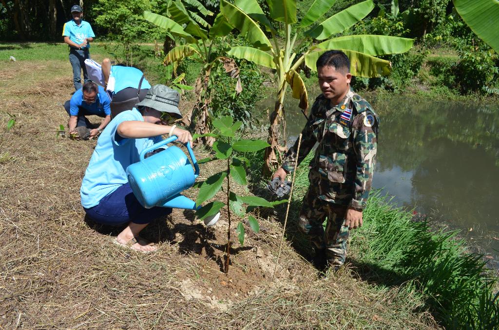 ภาพถ่าย ใช้ปุ่มลูกศร ซ้าย หรือ ขวา เลื่อนภาพถ่าย หรือปุ่มสามเหลี่ยมฉายภาพอัตโนมัติ  ถ้าต้องการบันทึกภาพ ใช้เมาส์คลิกขวาเลือกหัวข้อ  เป็นรูปภาพเป็น.. หรือ save as.. แสดงเต็มจอภาพ กุดปุ่ม F11 