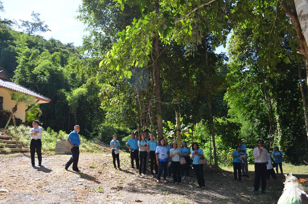 ภาพถ่าย ใช้ปุ่มลูกศร ซ้าย หรือ ขวา เลื่อนภาพถ่าย หรือปุ่มสามเหลี่ยมฉายภาพอัตโนมัติ  ถ้าต้องการบันทึกภาพ ใช้เมาส์คลิกขวาเลือกหัวข้อ  เป็นรูปภาพเป็น.. หรือ save as.. แสดงเต็มจอภาพ กุดปุ่ม F11 