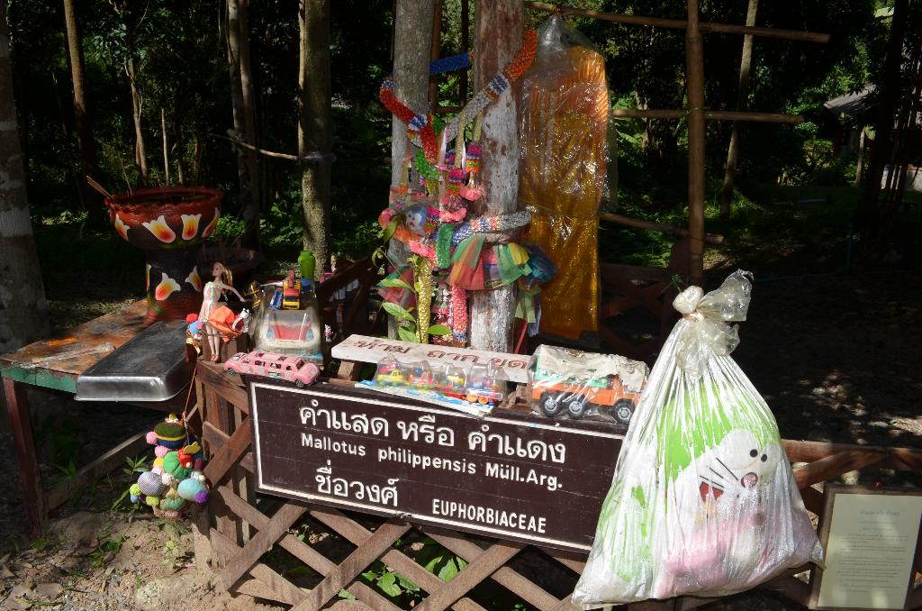 ภาพถ่าย ใช้ปุ่มลูกศร ซ้าย หรือ ขวา เลื่อนภาพถ่าย หรือปุ่มสามเหลี่ยมฉายภาพอัตโนมัติ  ถ้าต้องการบันทึกภาพ ใช้เมาส์คลิกขวาเลือกหัวข้อ  เป็นรูปภาพเป็น.. หรือ save as.. แสดงเต็มจอภาพ กุดปุ่ม F11 