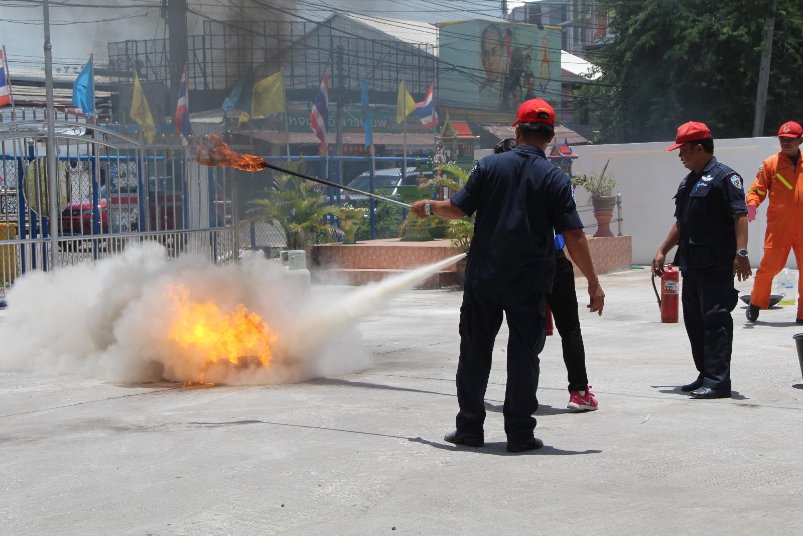 ภาพถ่าย ใช้ปุ่มลูกศร ซ้าย หรือ ขวา เลื่อนภาพถ่าย หรือปุ่มสามเหลี่ยมฉายภาพอัตโนมัติ  ถ้าต้องการบันทึกภาพ ใช้เมาส์คลิกขวาเลือกหัวข้อ  เป็นรูปภาพเป็น.. หรือ save as.. แสดงเต็มจอภาพ กุดปุ่ม F11 