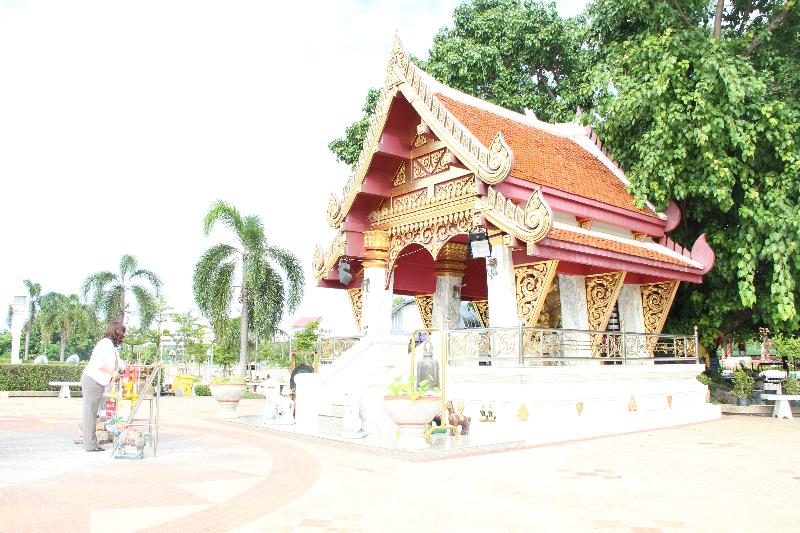 ภาพถ่าย ใช้ปุ่มลูกศร ซ้าย หรือ ขวา เลื่อนภาพถ่าย หรือปุ่มสามเหลี่ยมฉายภาพอัตโนมัติ  ถ้าต้องการบันทึกภาพ ใช้เมาส์คลิกขวาเลือกหัวข้อ  เป็นรูปภาพเป็น.. หรือ save as.. แสดงเต็มจอภาพ กุดปุ่ม F11 