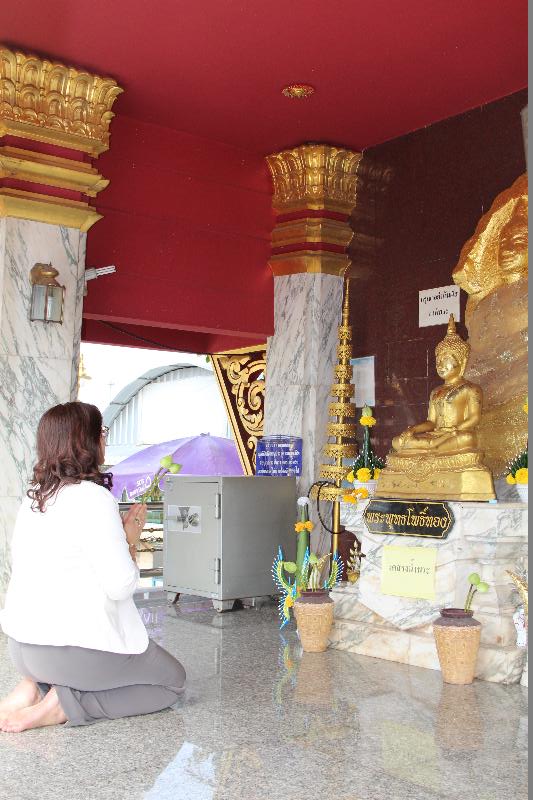 ภาพถ่าย ใช้ปุ่มลูกศร ซ้าย หรือ ขวา เลื่อนภาพถ่าย หรือปุ่มสามเหลี่ยมฉายภาพอัตโนมัติ  ถ้าต้องการบันทึกภาพ ใช้เมาส์คลิกขวาเลือกหัวข้อ  เป็นรูปภาพเป็น.. หรือ save as.. แสดงเต็มจอภาพ กุดปุ่ม F11 