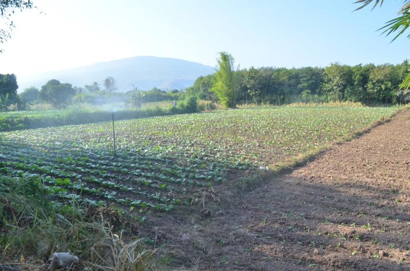 ภาพถ่าย ใช้ปุ่มลูกศร ซ้าย หรือ ขวา เลื่อนภาพถ่าย หรือปุ่มสามเหลี่ยมฉายภาพอัตโนมัติ  ถ้าต้องการบันทึกภาพ ใช้เมาส์คลิกขวาเลือกหัวข้อ  เป็นรูปภาพเป็น.. หรือ save as.. แสดงเต็มจอภาพ กุดปุ่ม F11 